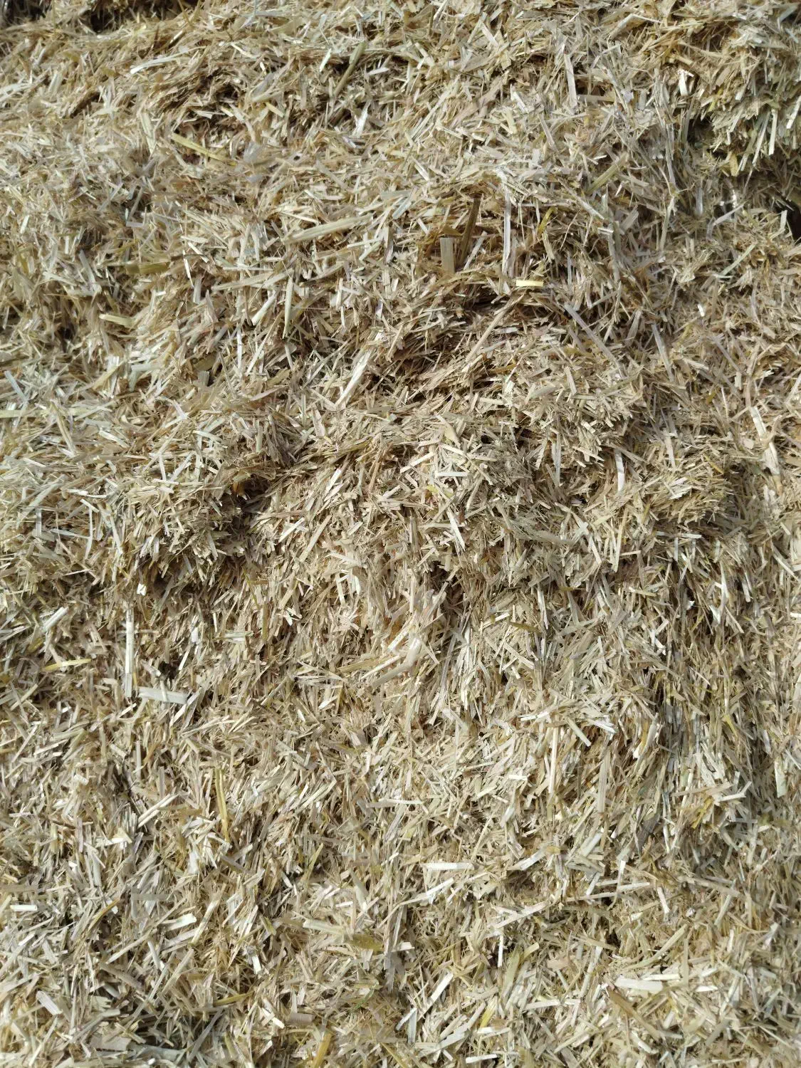 کمباین جهت کوبیدن کلش|خودرو سنگین|کبودرآهنگ, |دیوار