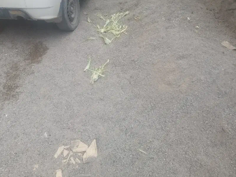 ماسه رایگان|مصالح و تجهیزات ساختمان|ایرانشهر, |دیوار