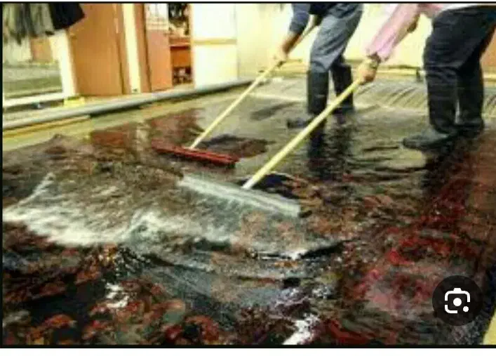 قالیشویی و مبل شویی در اسلامشهر|خدمات نظافت|اسلام‌شهر, شهرک محمدیه|دیوار