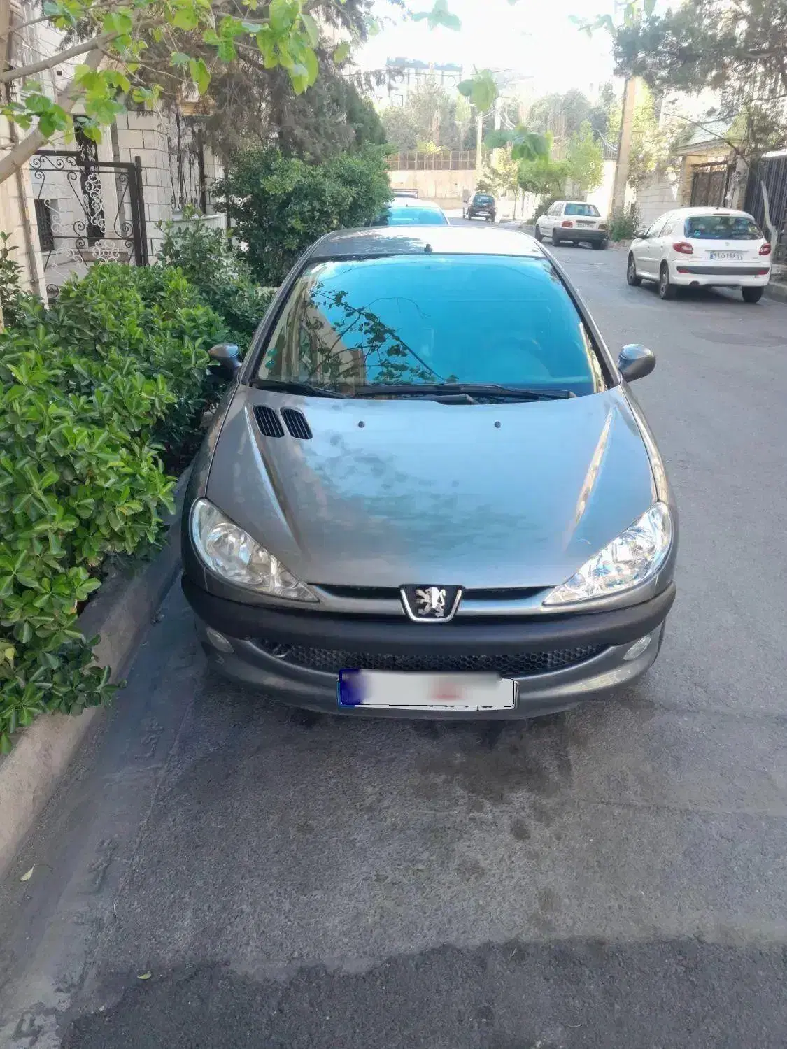 206 تیپ ۵ مدل ۹۰|خودرو سواری و وانت|تهران, مرزداران|دیوار