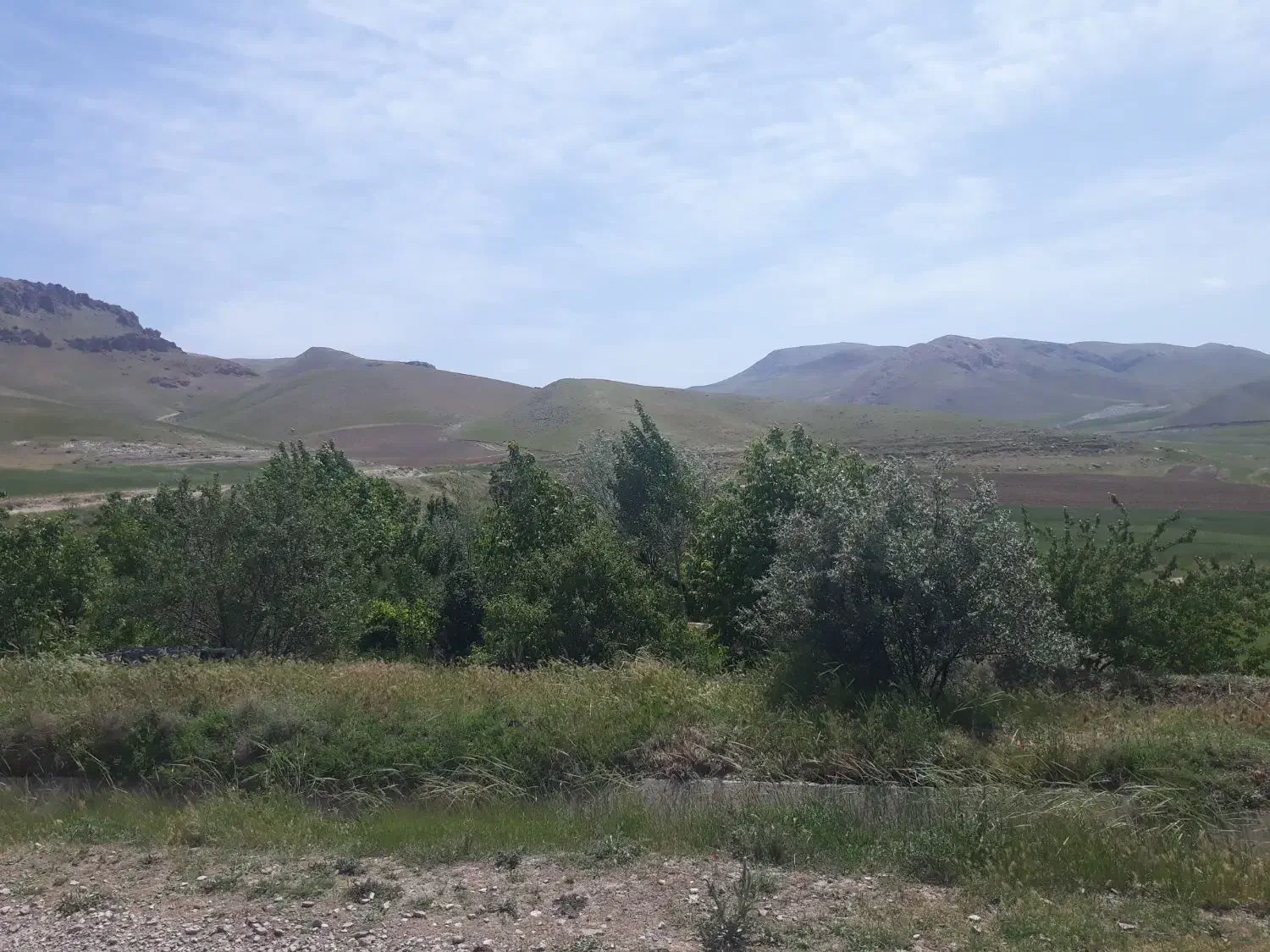 باغ و زمین|فروش زمین و ملک کلنگی|شاهین دژ, |دیوار