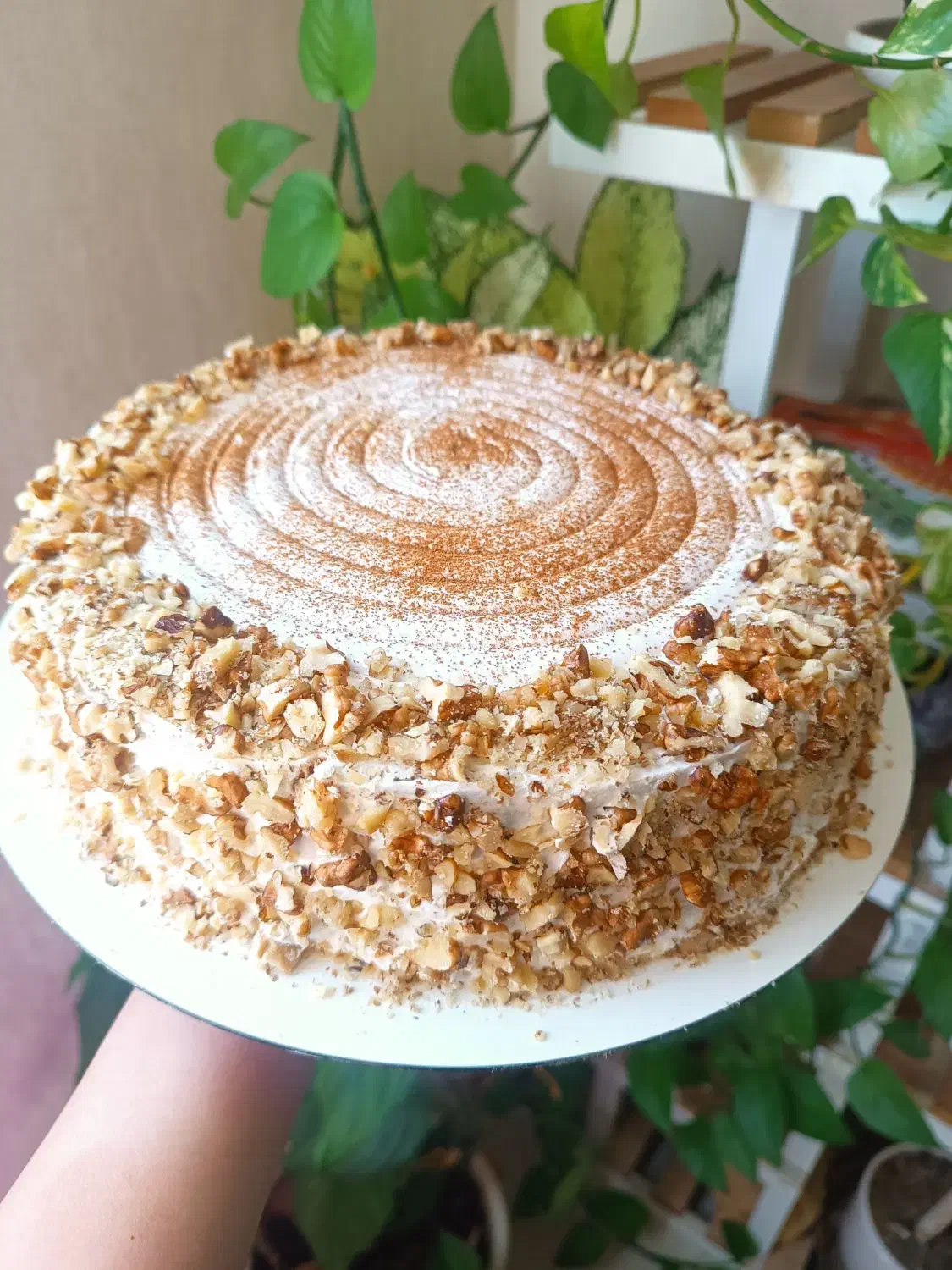 کیک و دسر کافه و مجالس|خوردنی و آشامیدنی|شیراز, سفیرشمالی|دیوار