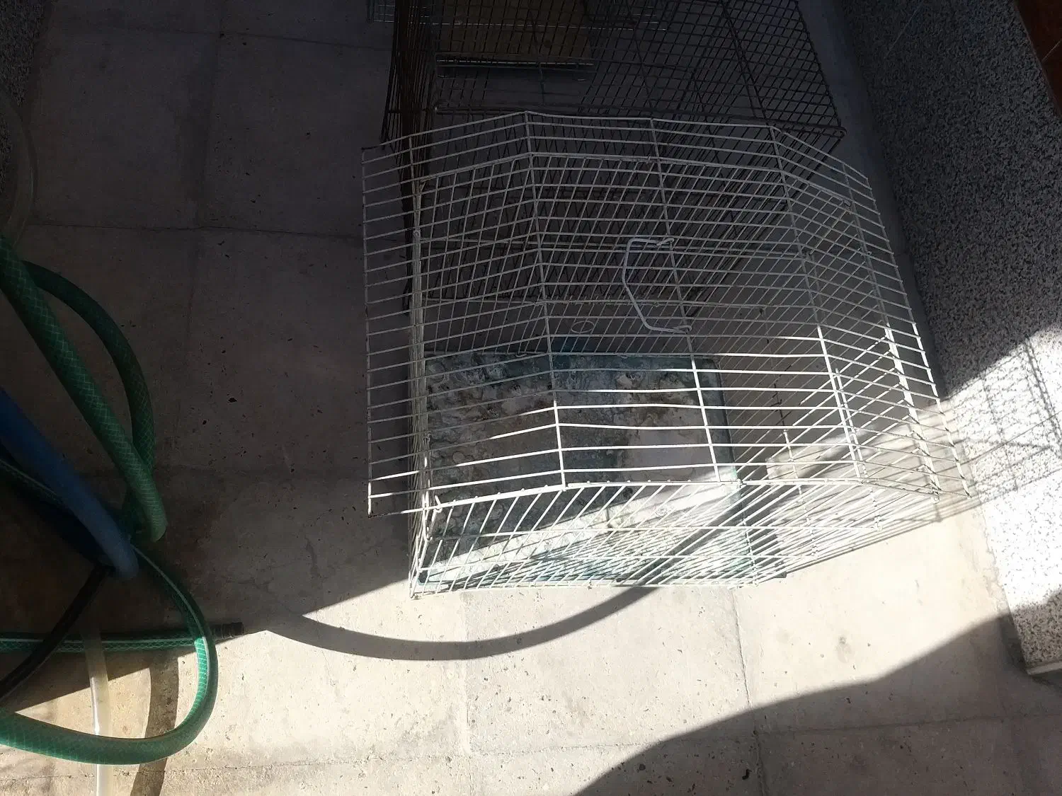 چند قفس پرنده|لوازم جانبی حیوانات|فسا, |دیوار