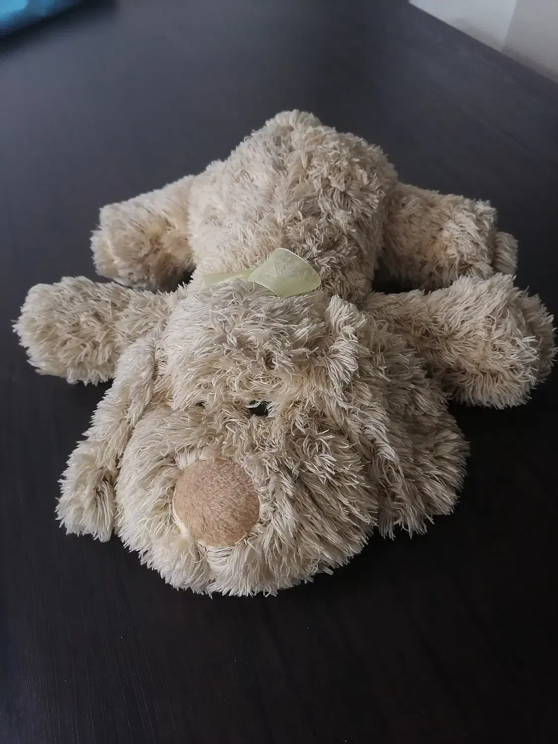 عروسک مدل سگ|اسباببازی بچه|شاهینشهر, مخابرات (شهید بهشتی)|دیوار