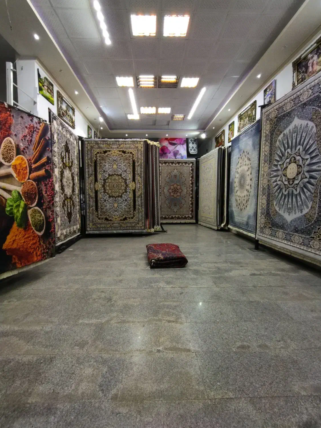 فرش شاینا|فرش|سلماس, |دیوار