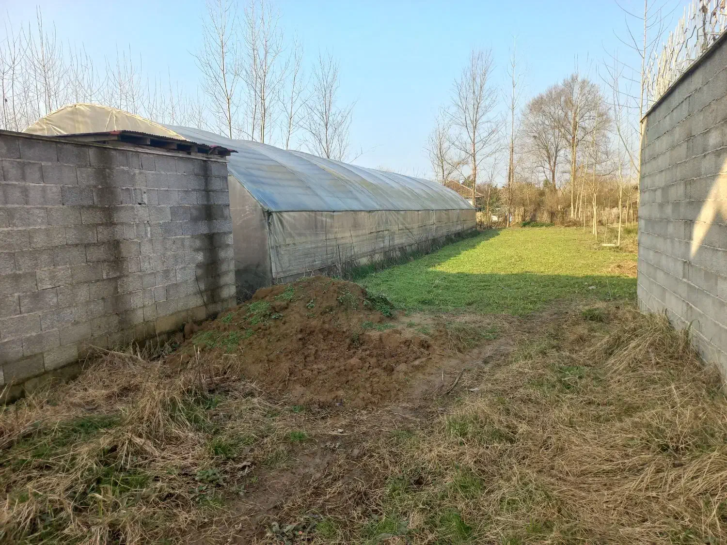 فروش گلخانه دست دوم|فروش دفتر صنعتی، کشاورزی، تجاری|صومعهسرا, |دیوار