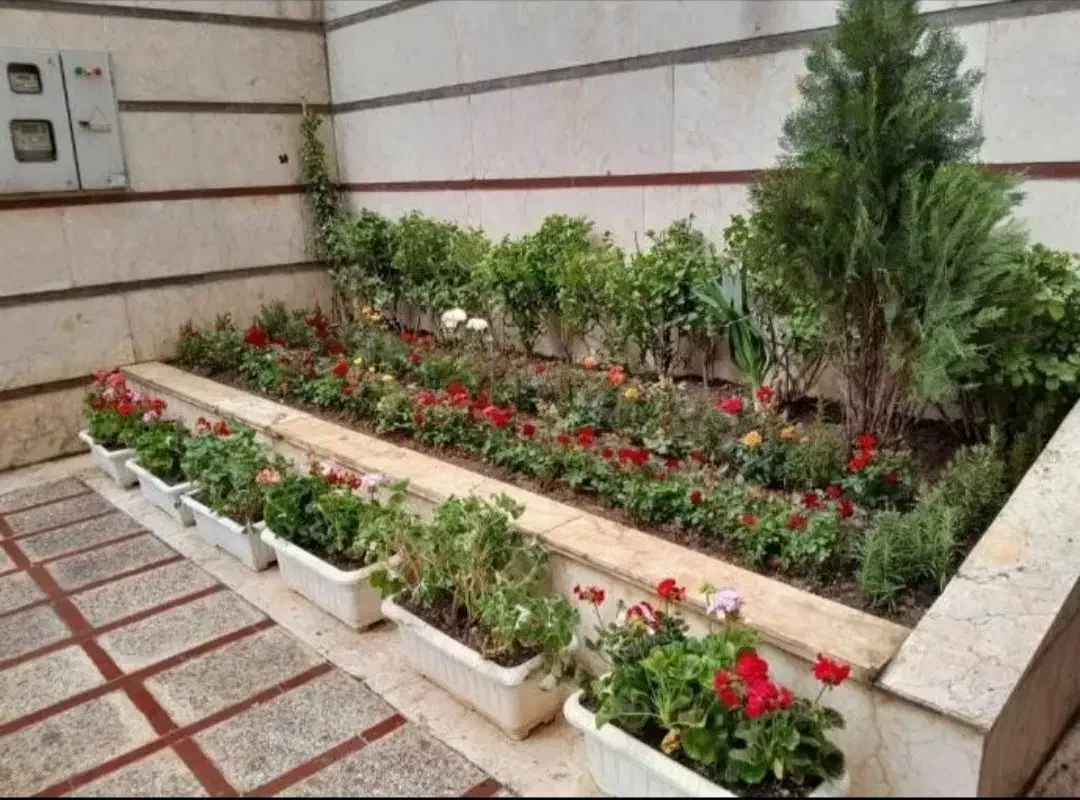 اصول نگهداری گیاهان داخلی و بیرونی|خدمات باغبانی و درختکاری|تهران, قلهک|دیوار