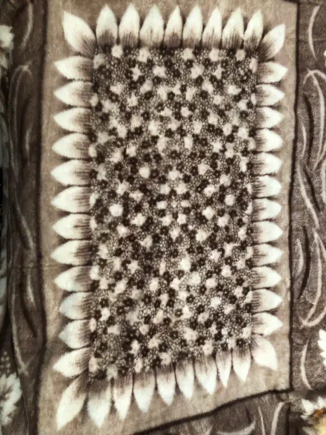 پتو|رختخواب، بالش، پتو|اصفهان, ملک|دیوار