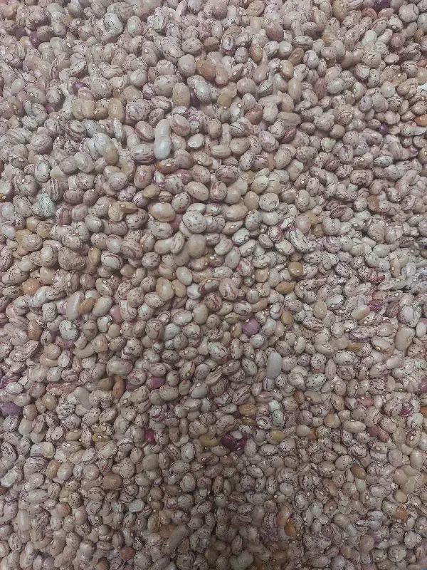 چیتی ایرانی|خوردنی و آشامیدنی|جوادآباد, |دیوار