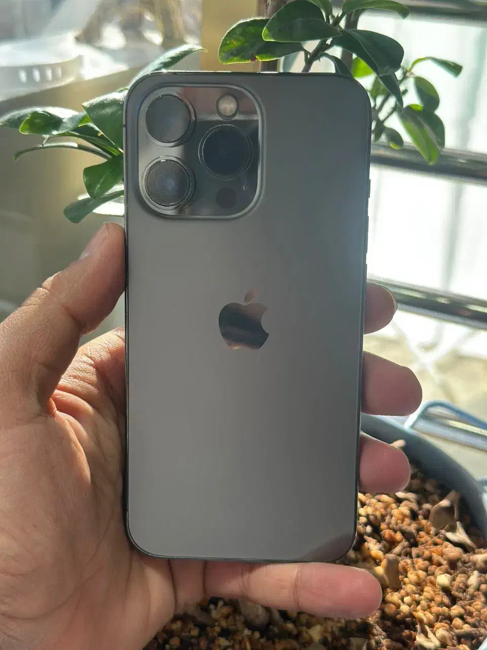 اپل 16pro 256|موبایل|مشهد, آزادشهر|دیوار