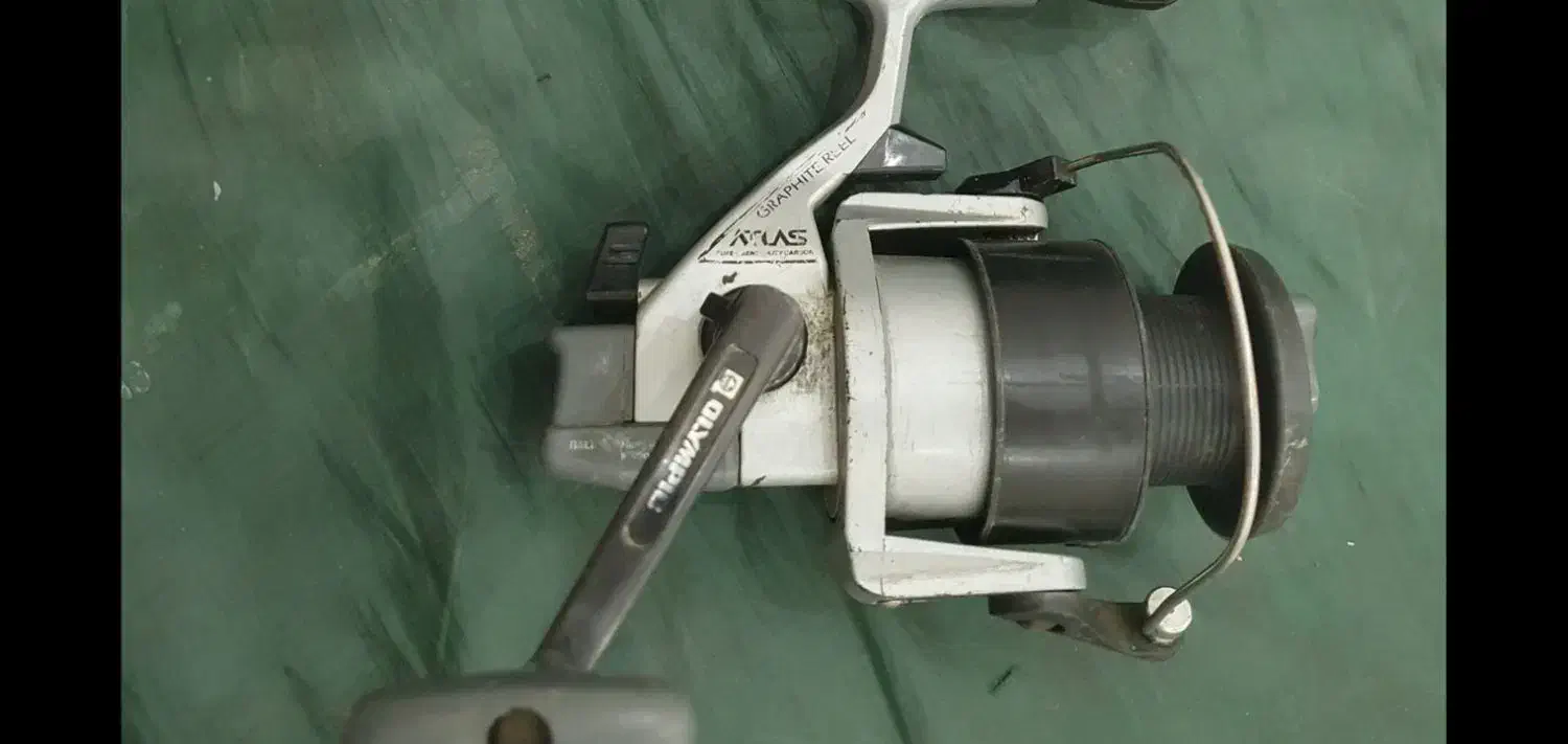 لنسر ماهیگیری|ماهیگیری|گنبد کاووس, |دیوار