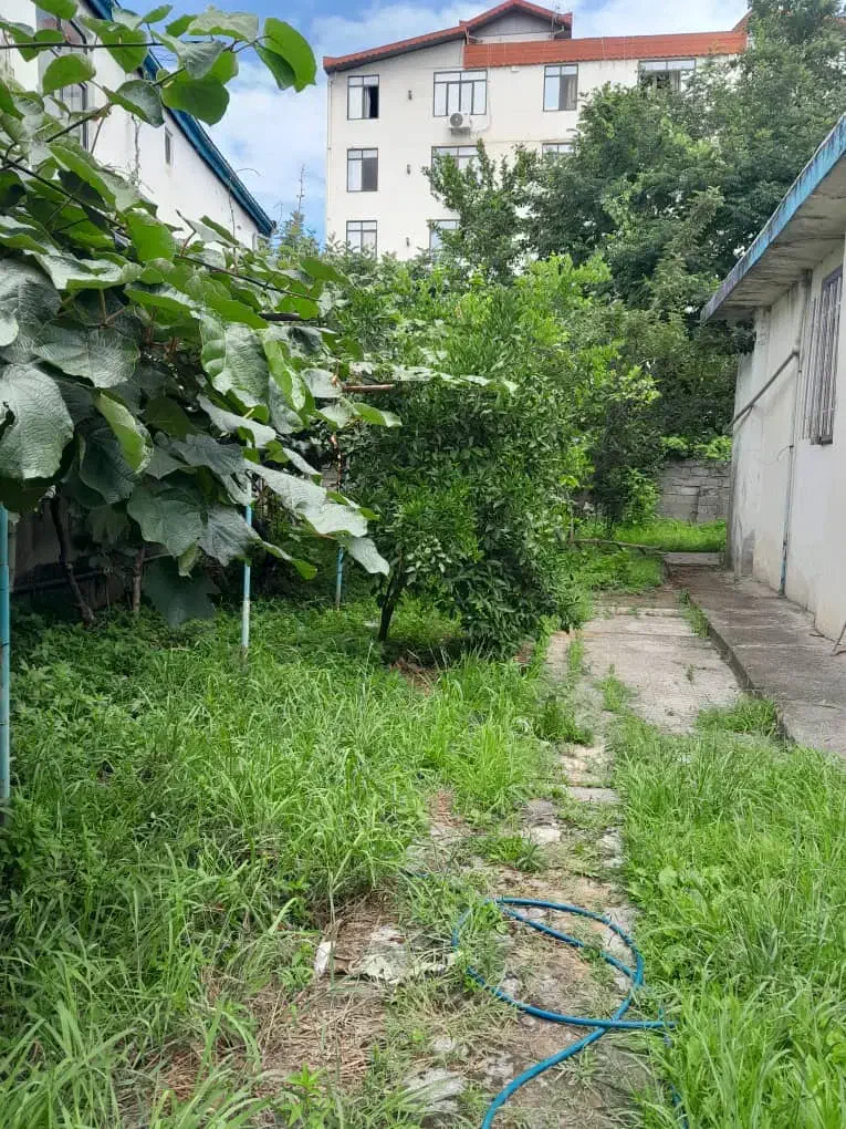 فروش  زمین به متراژ ۳۲۰ متر|فروش زمین و ملک کلنگی|تالش, هشتپر|دیوار