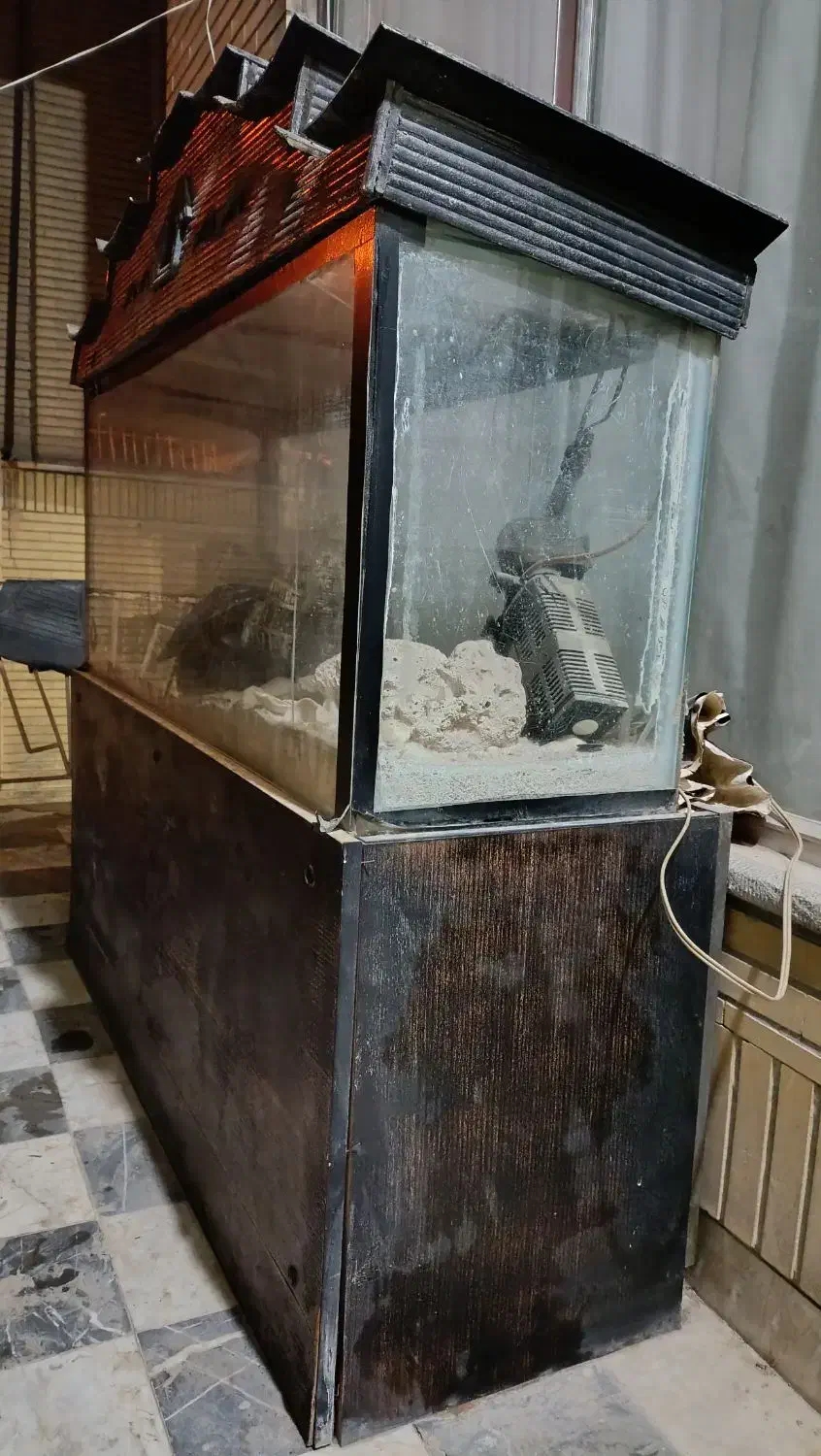 آکواریوم|ماهی|اصفهان, پوریای ولی|دیوار