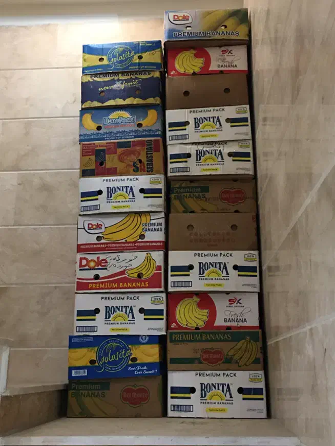 کارتن موزی|حراج|فردیس, قریشی|دیوار