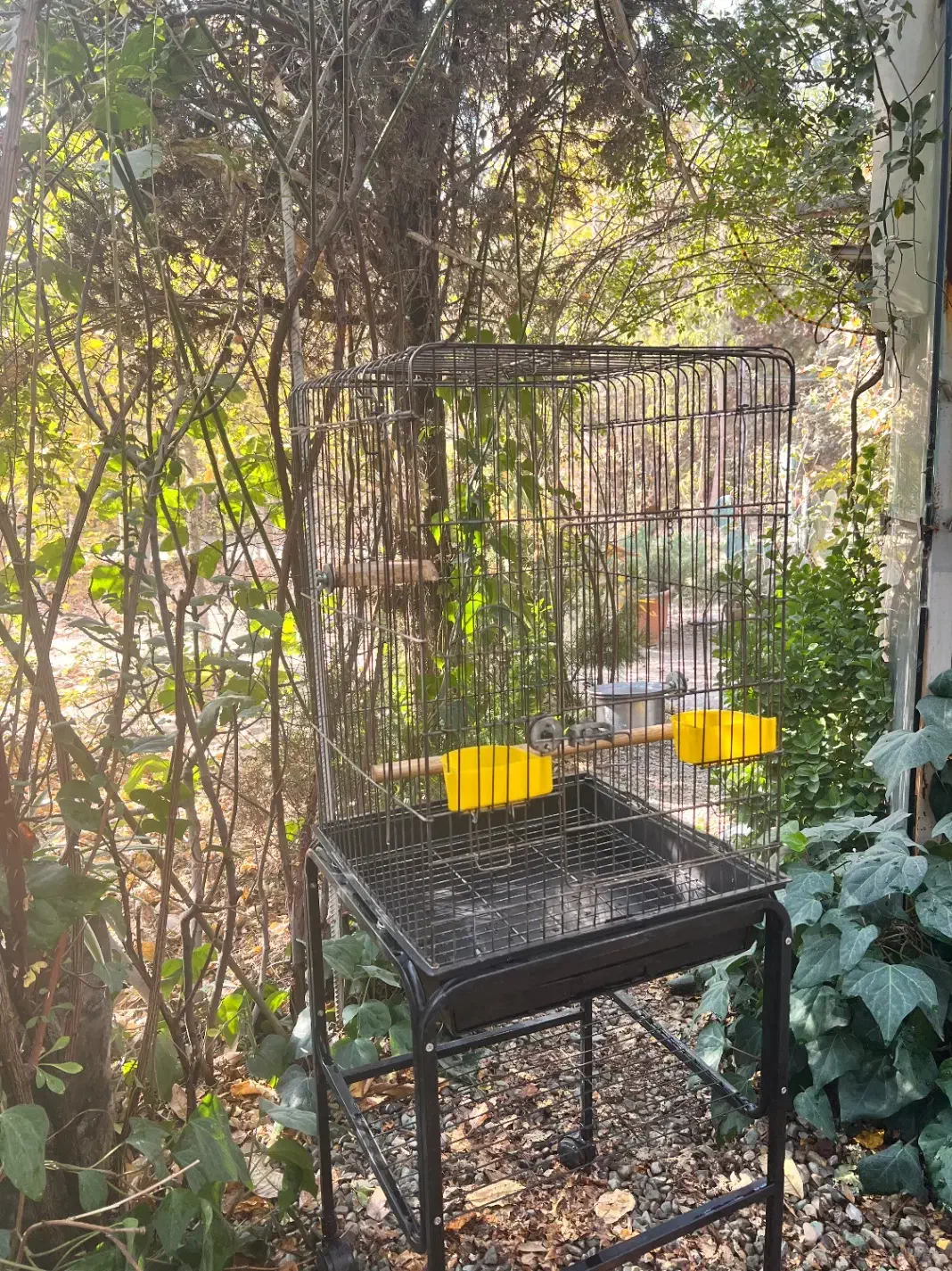 قفس و پایه|لوازم جانبی حیوانات|کرج, شهرک بنفشه|دیوار