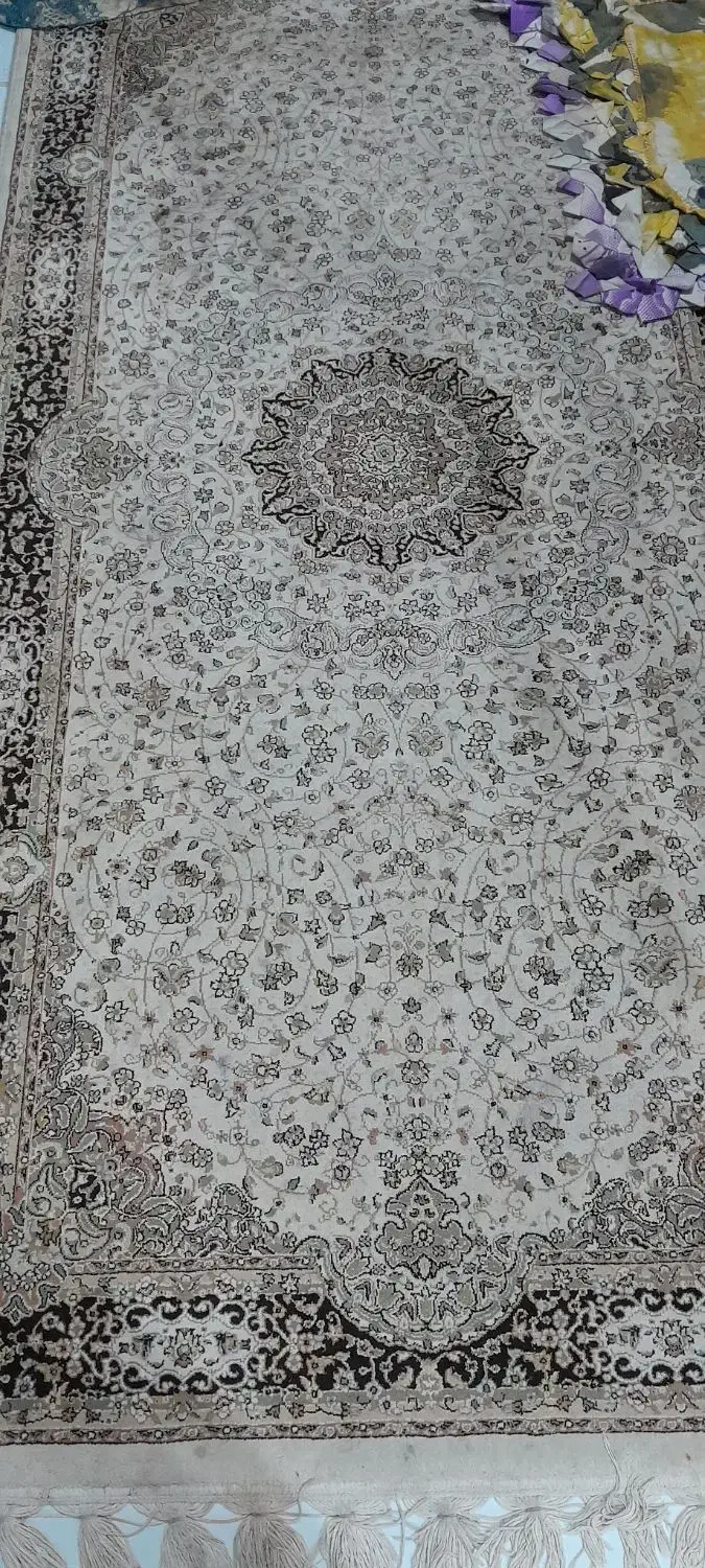 فرش|فرش|بندر انزلی, سید آسیه|دیوار