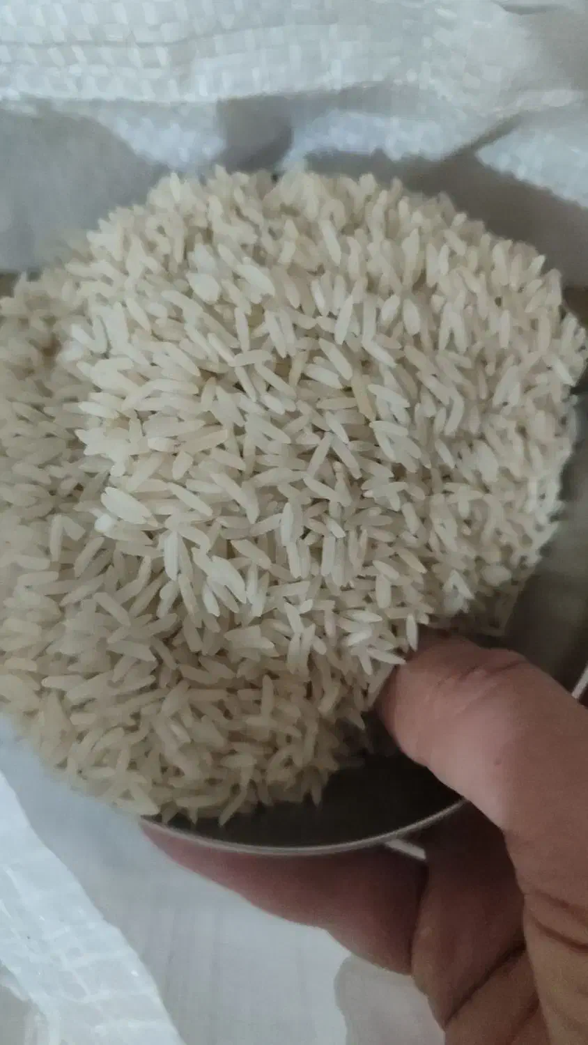 برنج  فجر برنج ضیغمی ممسنی نیم دانه کمفیروزی لوبیا|خوردنی و آشامیدنی|کازرون, |دیوار