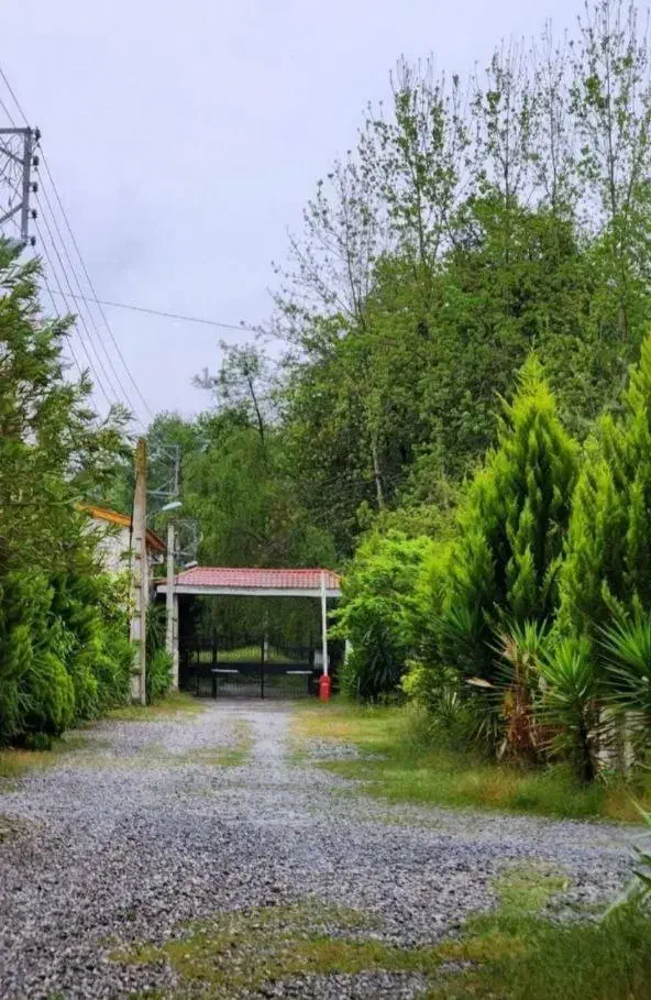 بازدید این زمینو ازدست نده یه فرصت عالی زمین ساخت|فروش زمین و ملک کلنگی|رویان, |دیوار