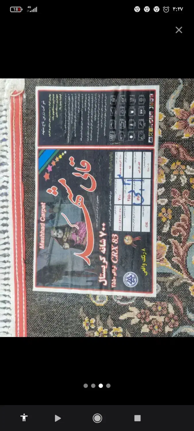 کفش مردانه|کیف، کفش، کمربند|سلطانیه, |دیوار