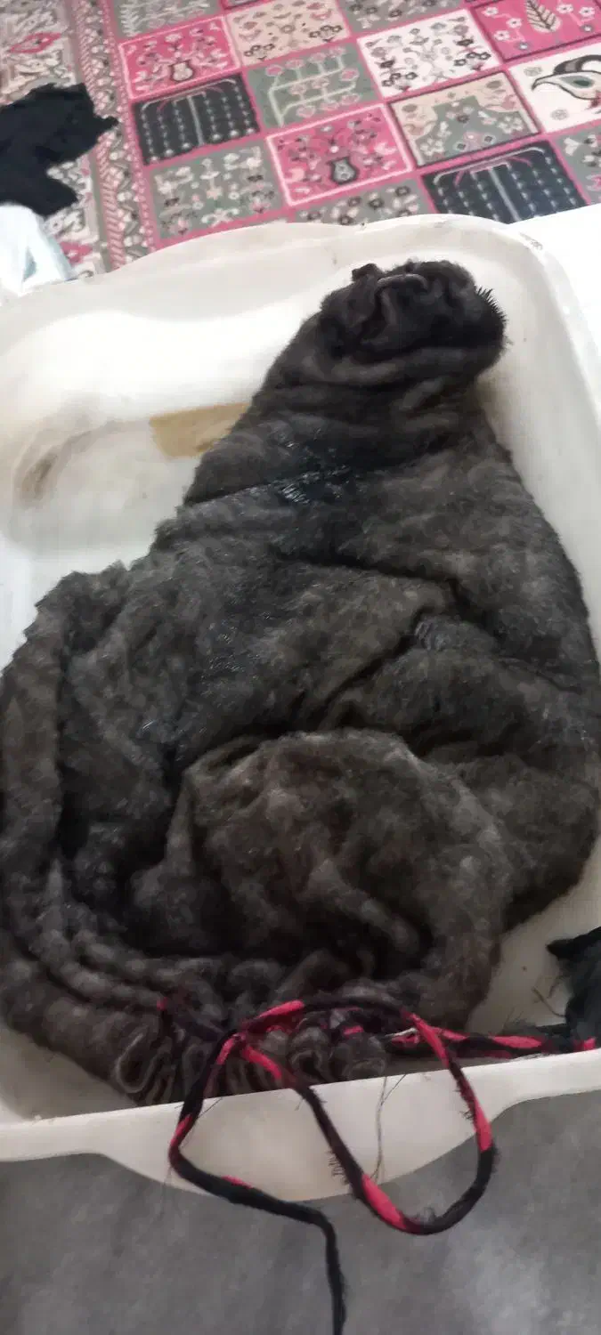 خیگ|ظروف نگهدارنده، پلاستیکی، یکبارمصرف|یاسوج, |دیوار