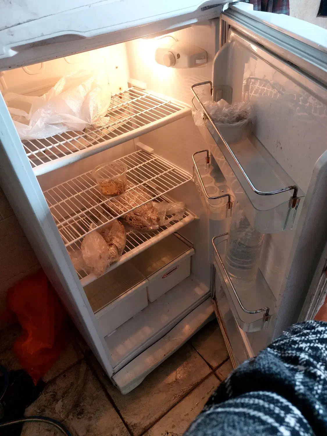 یخچال دو در جنرال تمیز در حد|یخچال و فریزر|مرودشت, ژیان|دیوار