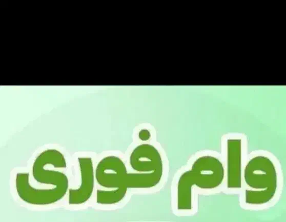 راهنمای وام|فعالیت داوطلبانه|بیرجند, |دیوار