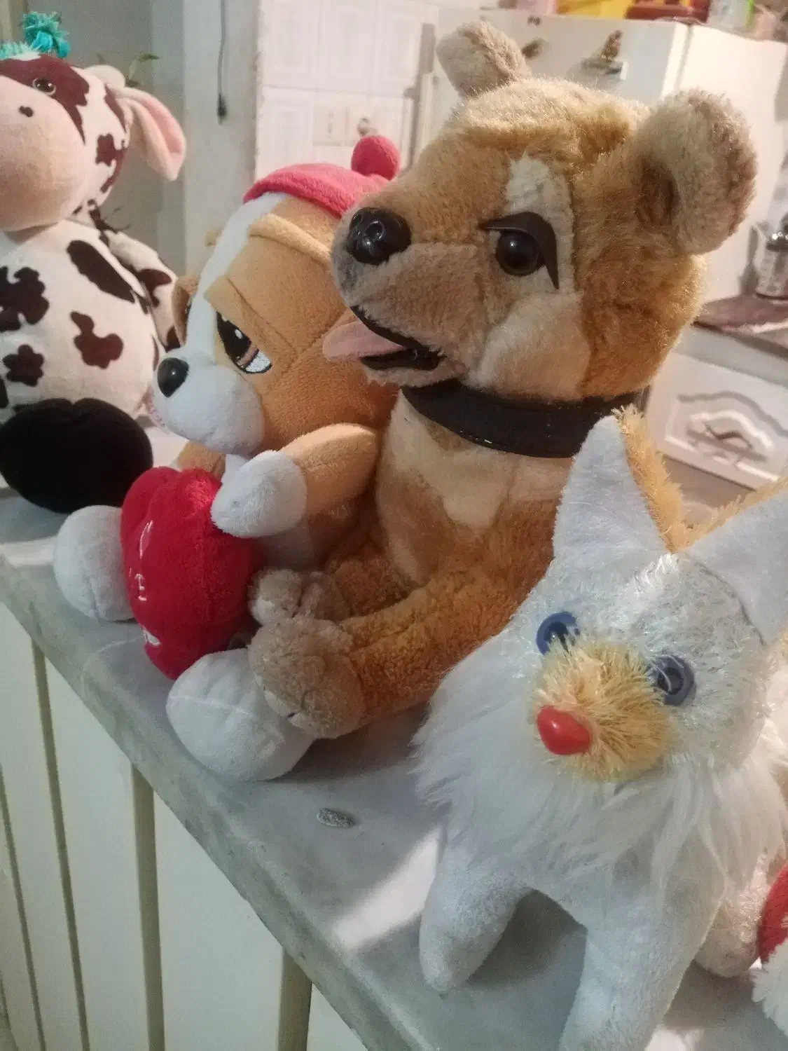 عروسک خرسی|اسباب‌‌بازی|شهرضا, |دیوار