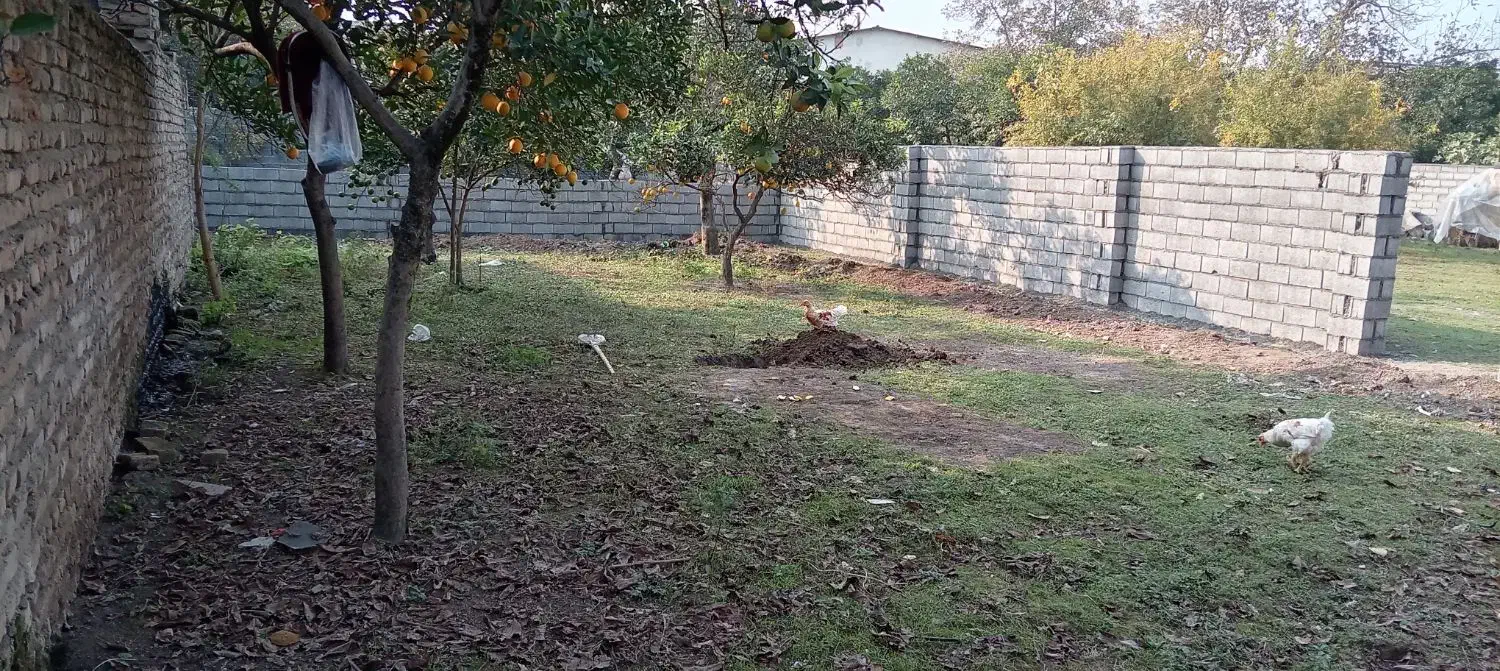 زمین کاربری مسکونی|فروش زمین و ملک کلنگی|ارطه, |دیوار