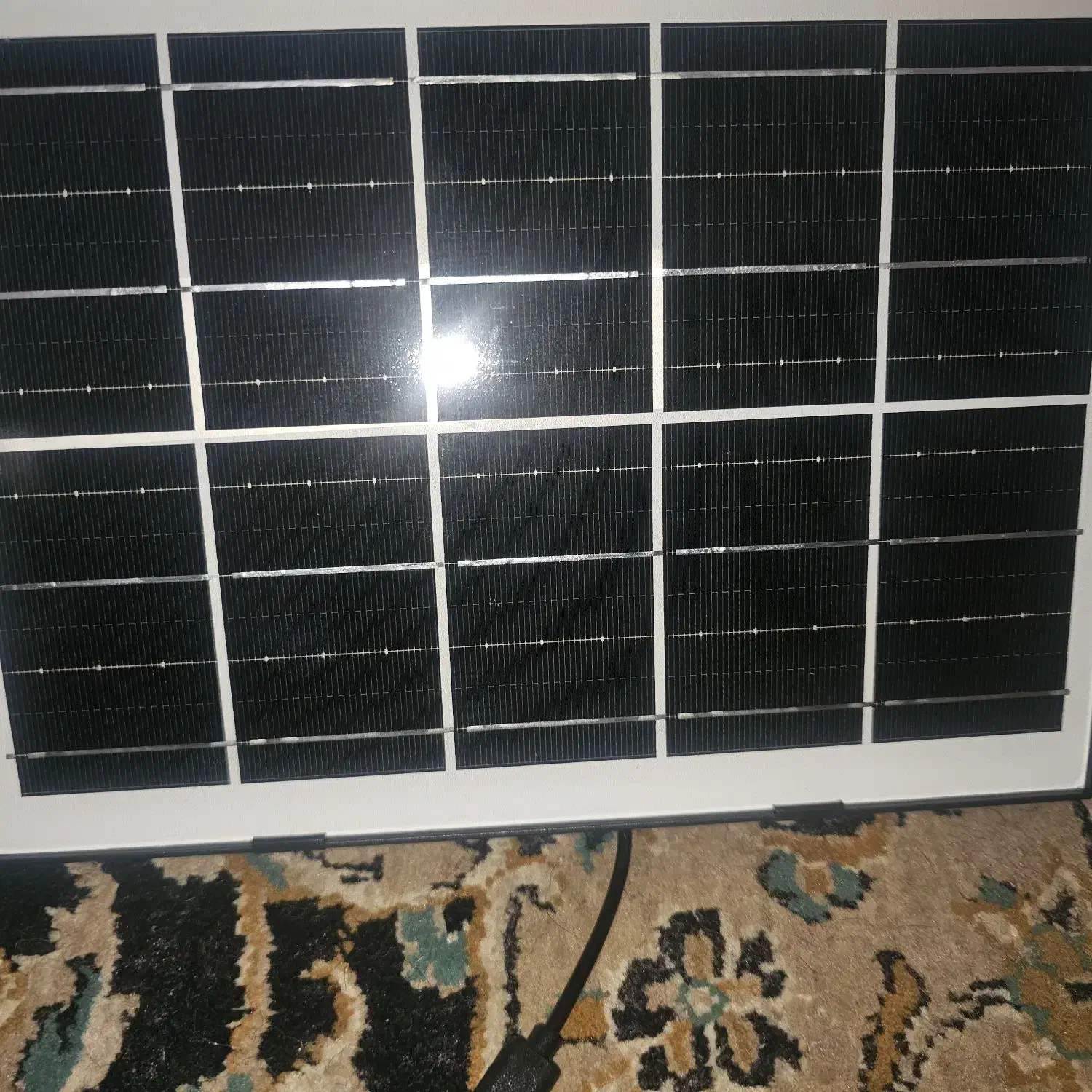 دوربین سیم کارتی|دوربین مداربسته|کرمان, |دیوار