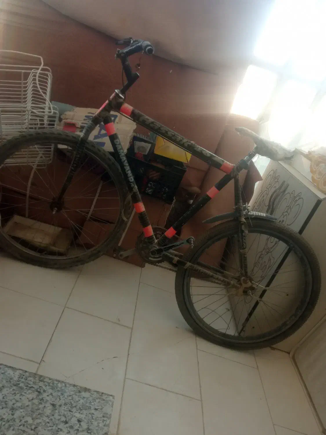 دوچرخه ۲۶|دوچرخه، اسکیت، اسکوتر|خاش, |دیوار