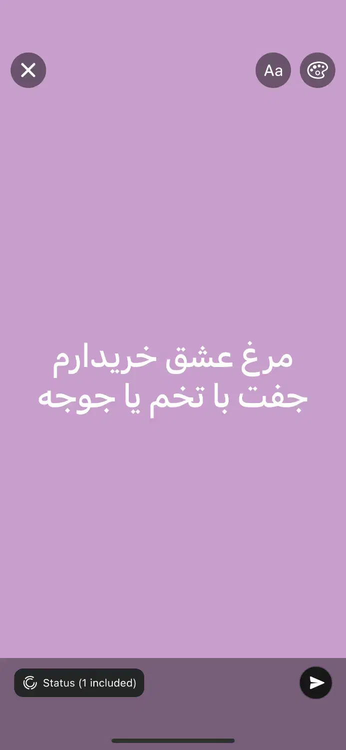 مرغ عشق|پرنده|بندرعباس, |دیوار