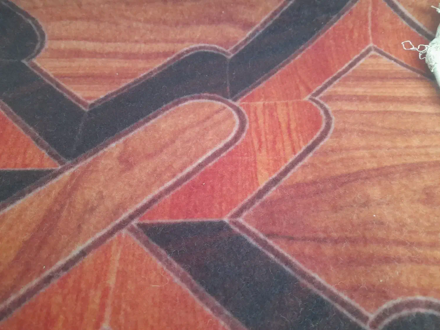 موکت|موکت|خمینی‌شهر, |دیوار