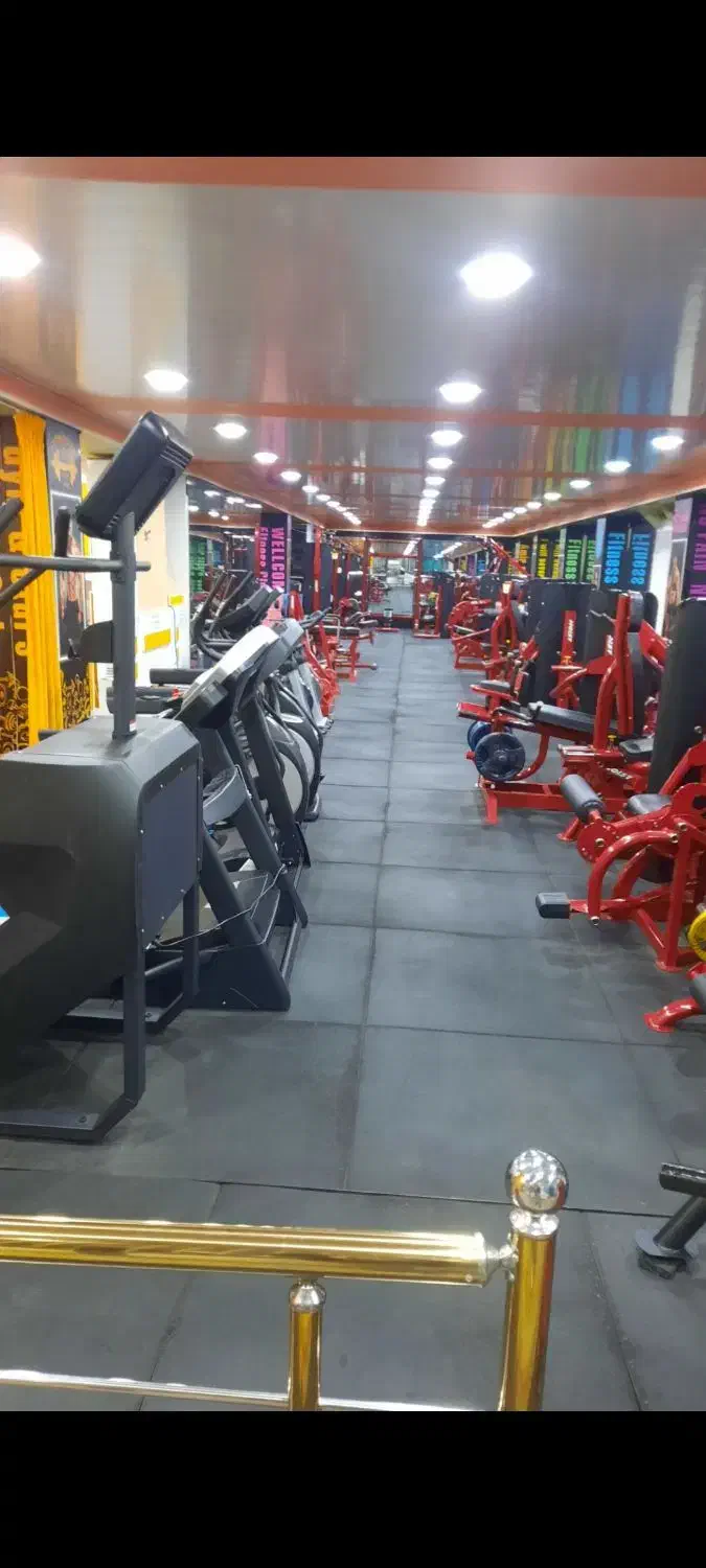 باشگاه بدنسازی|تجهیزات ورزشی|جلفا, |دیوار