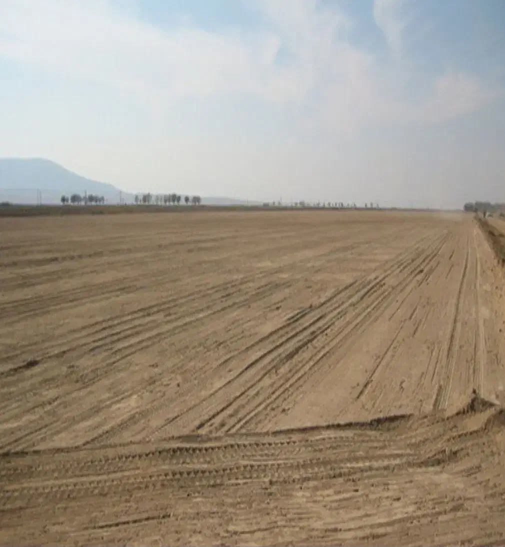 100 هکتار زمین کشاورزی با چاه عمیق|فروش دفتر صنعتی، کشاورزی، تجاری|بوئین زهرا, |دیوار