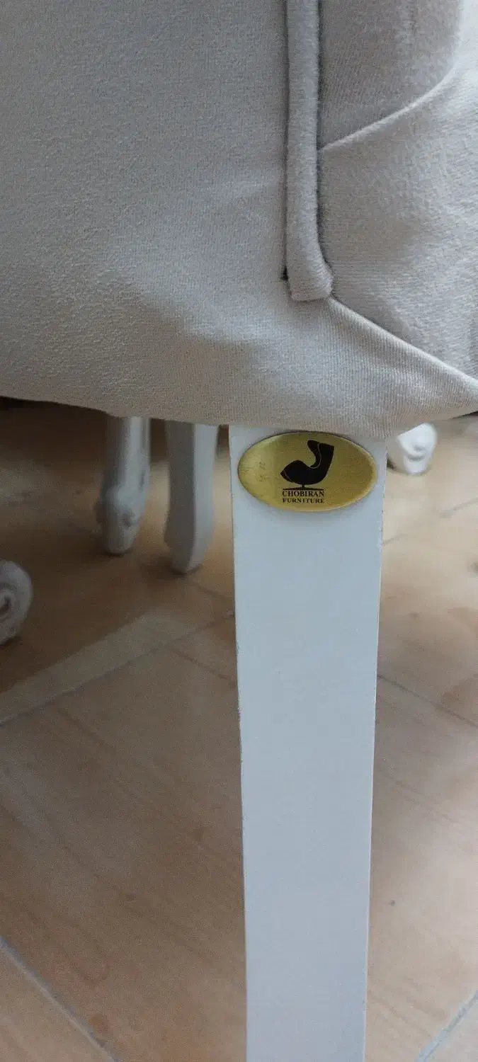 ۲ عدد صندلی استیل با کیفیت|مبلمان خانگی و میز عسلی|رشت, رشتیان|دیوار