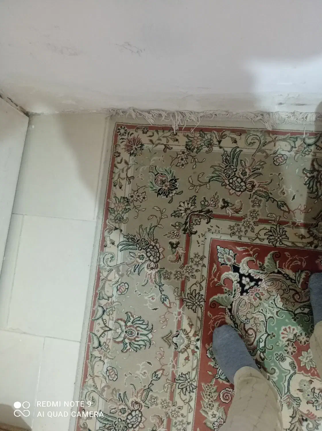 فروش یک جفت فرش ۶متری و۹متری کرم|فرش|اسفراین, |دیوار