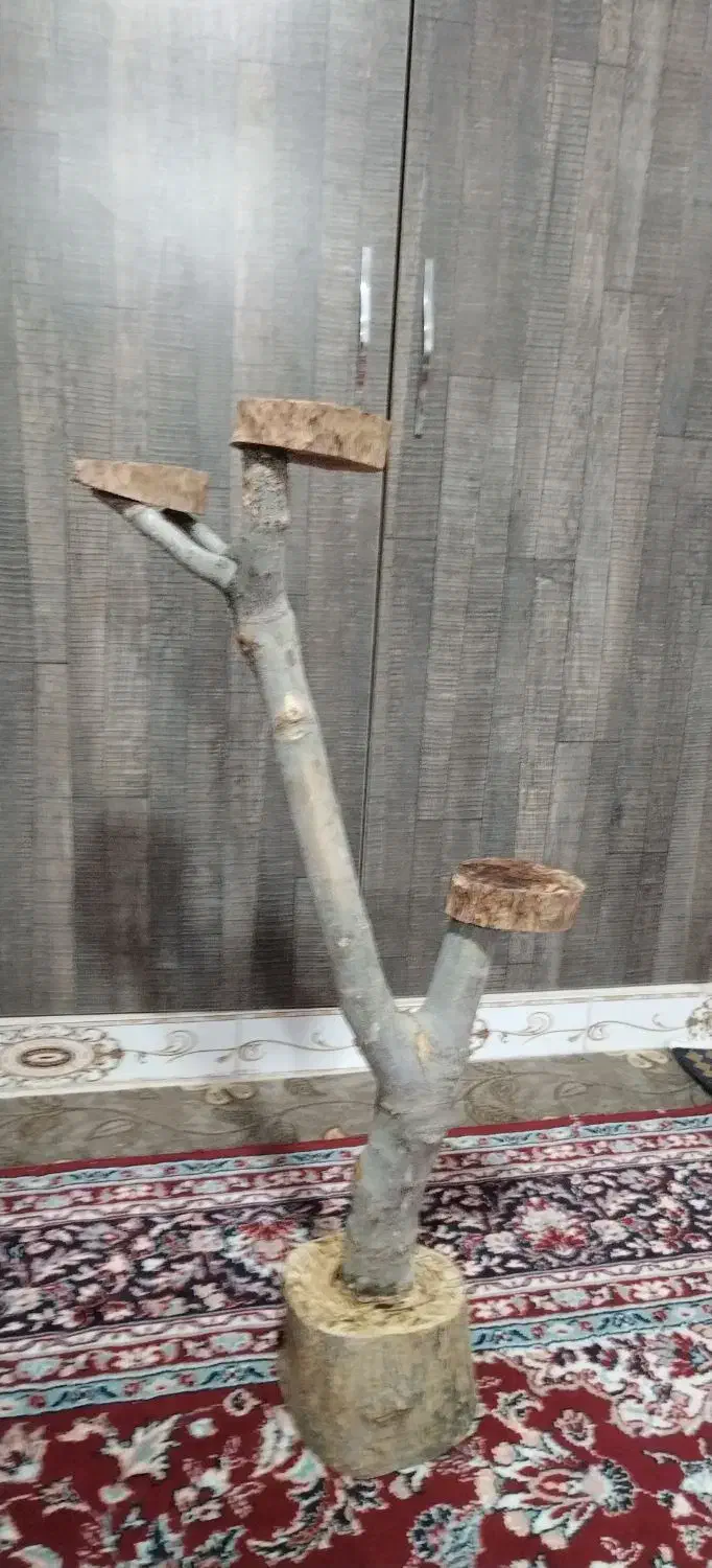 استند طبیعی درختچه|صنایع دستی و سایر لوازم تزئینی|دشتابی, |دیوار