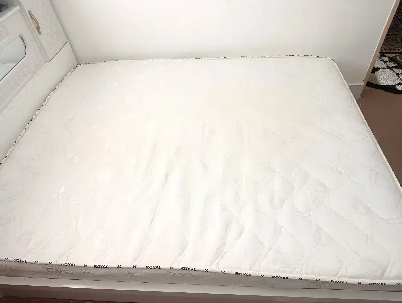 تشک|تشک تختخواب|بیرجند, |دیوار