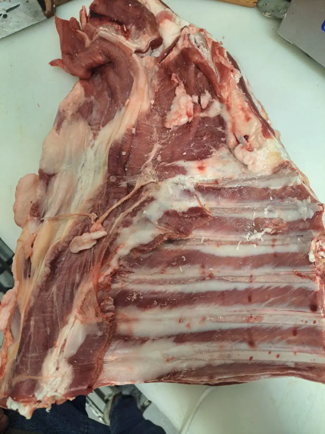 قلوه گاه بره نر|خوردنی و آشامیدنی|یزد, |دیوار