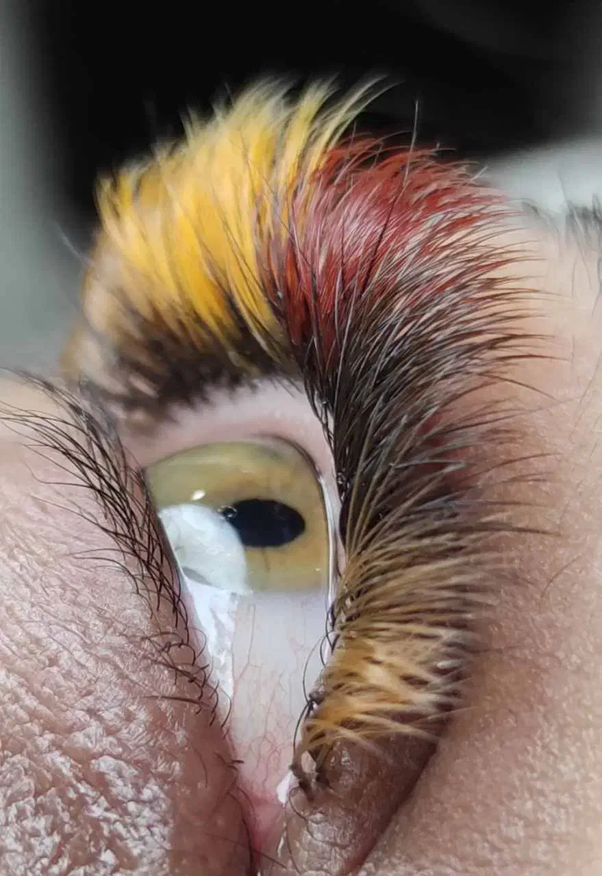 آموزش صفر تا صد اکستنشن مژه و لیفت|خدمات آرایشگری و زیبایی|رشت, منظریه|دیوار