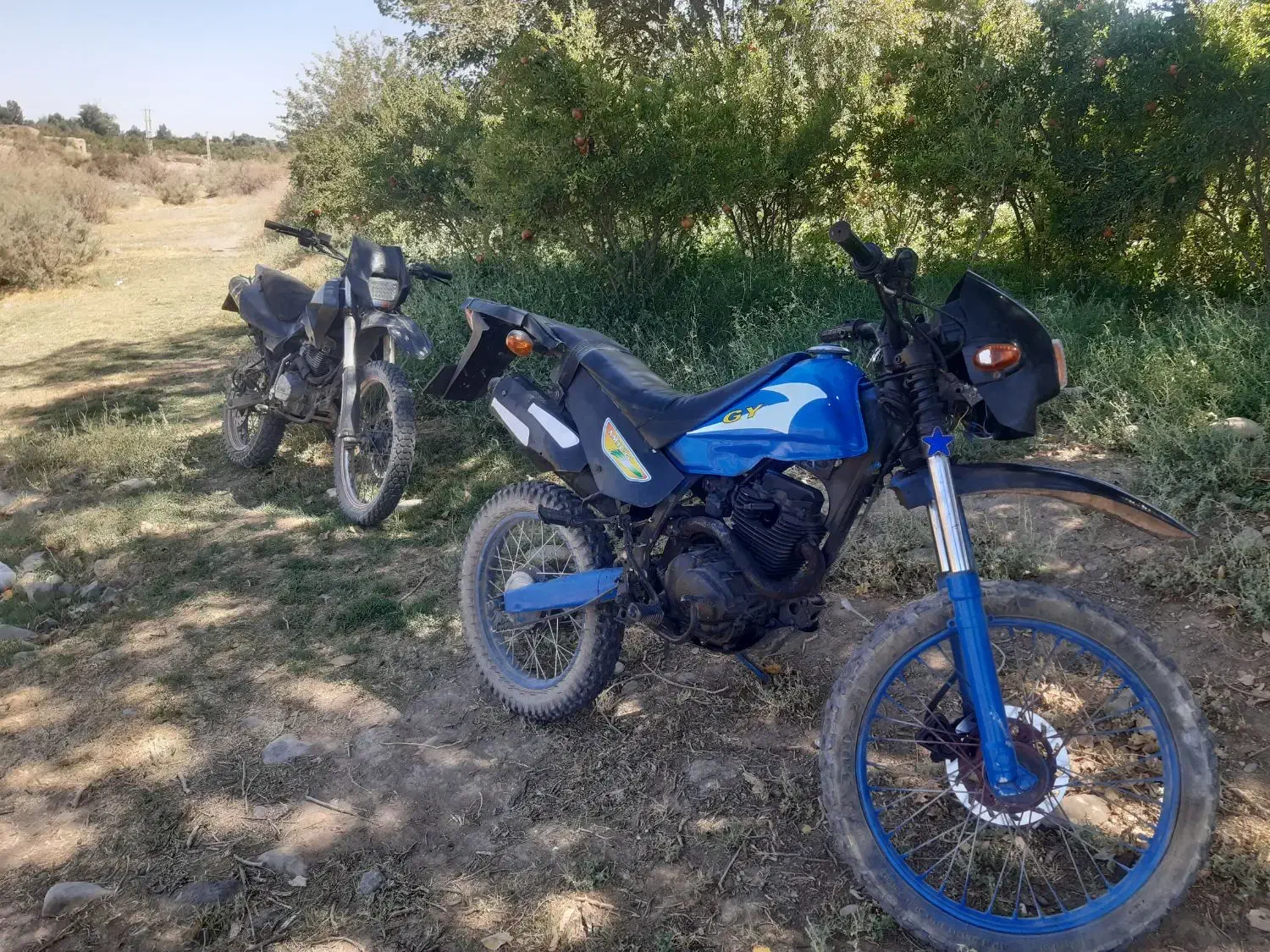 تریل ۱۵۰ اصل پیشرو|موتورسیکلت|قم, ولیعصر|دیوار