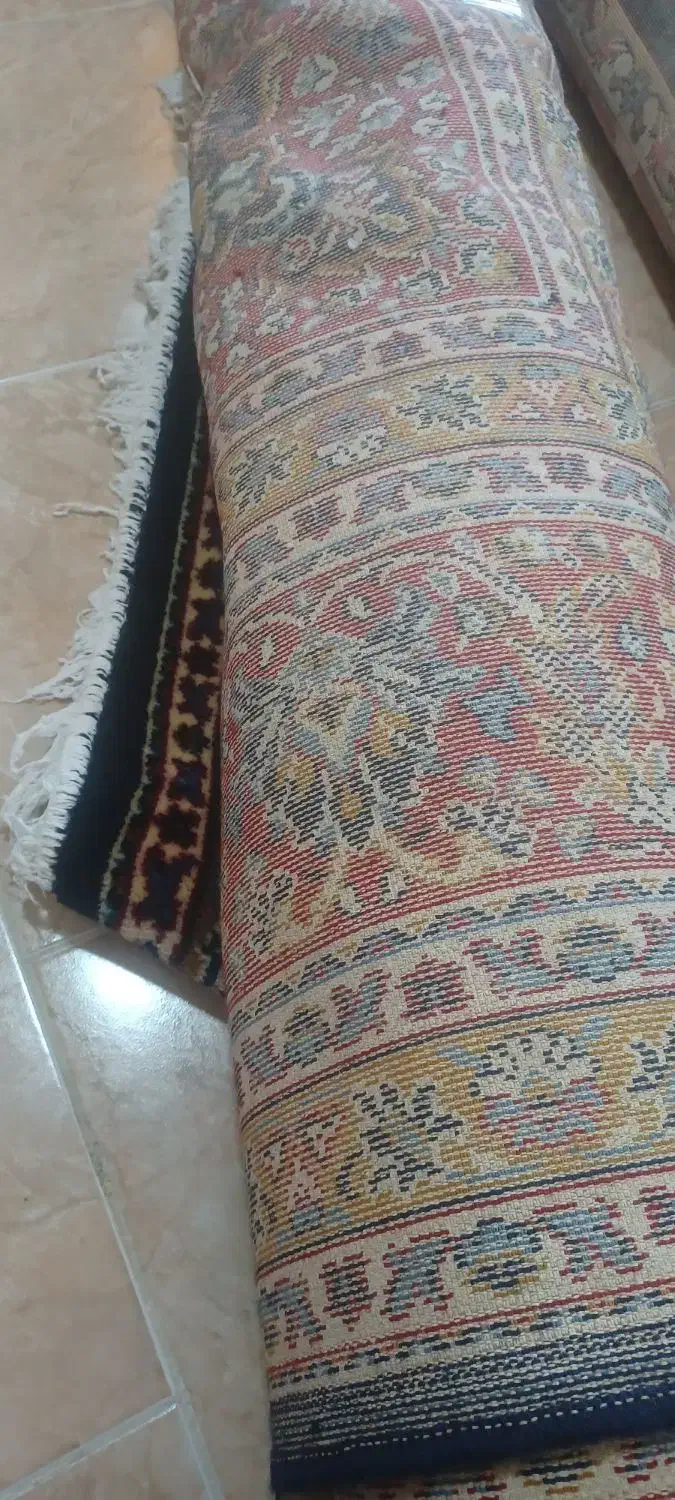 قالی ۱۲ متری ماشینی|فرش|شیراز, پودنک|دیوار