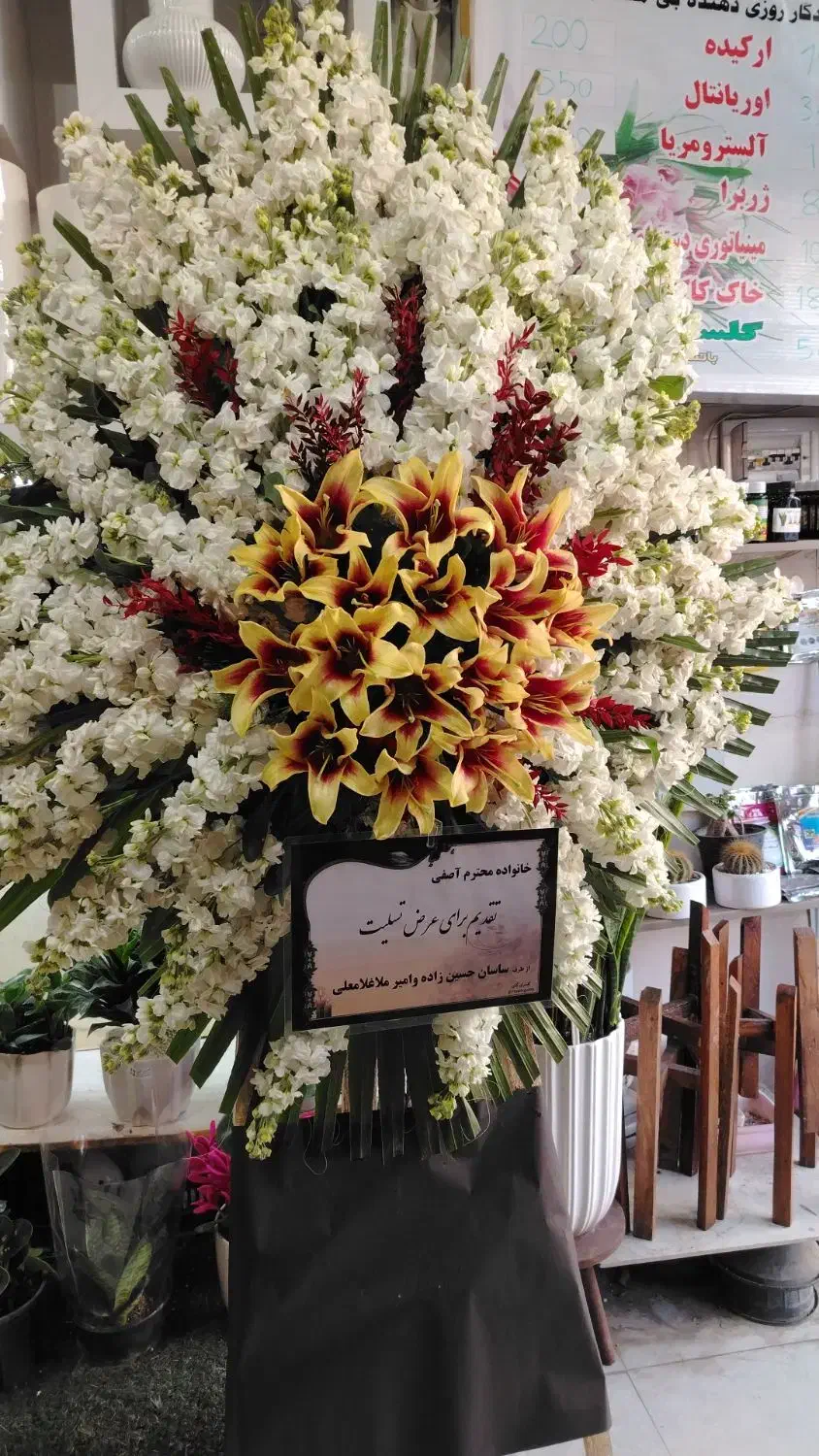 فقط 3500|گل و گیاه طبیعی|تهران, سبلان (لشگر)|دیوار