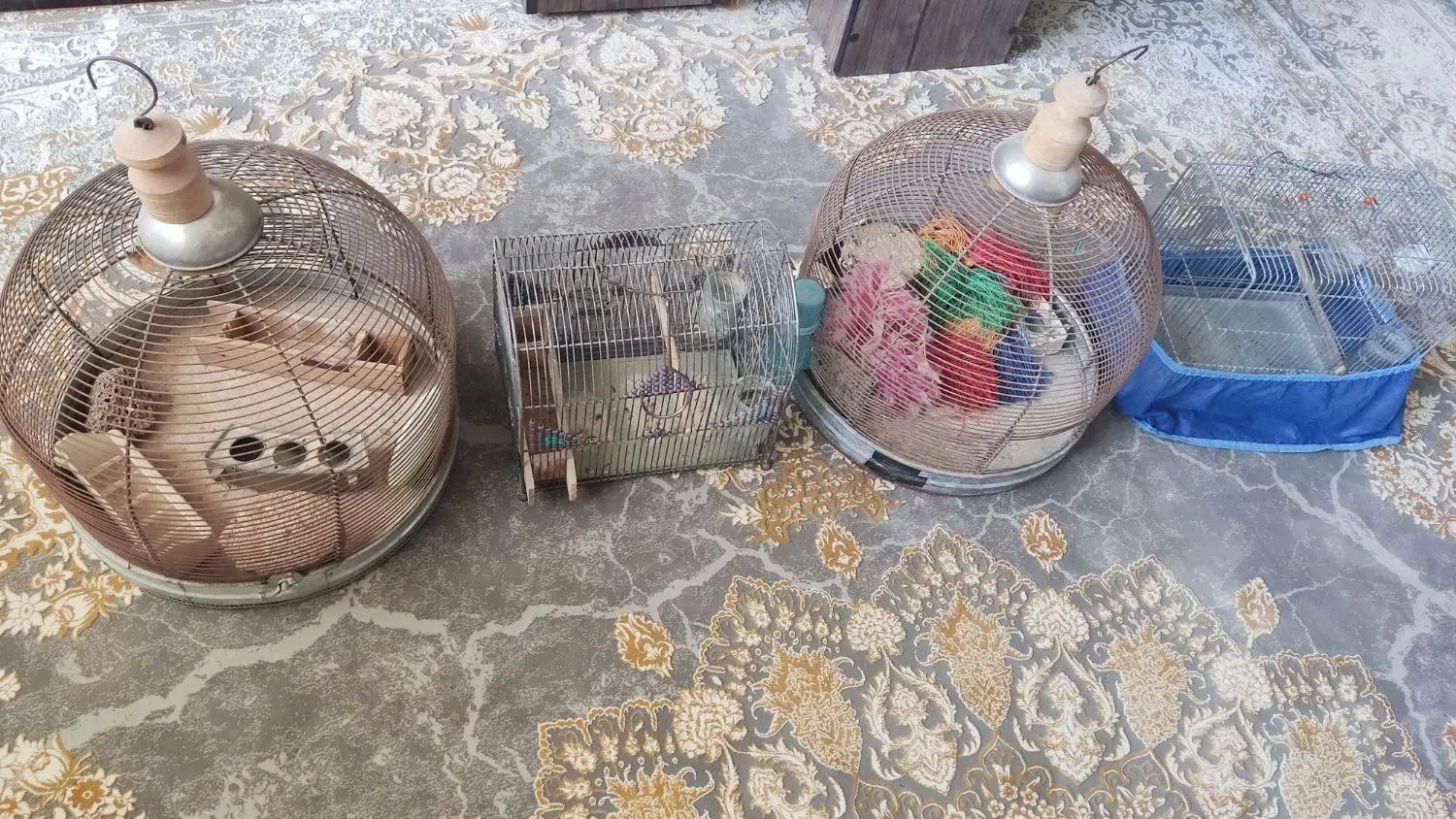 قفس|لوازم جانبی حیوانات|شیراز, شهرک گلستان|دیوار