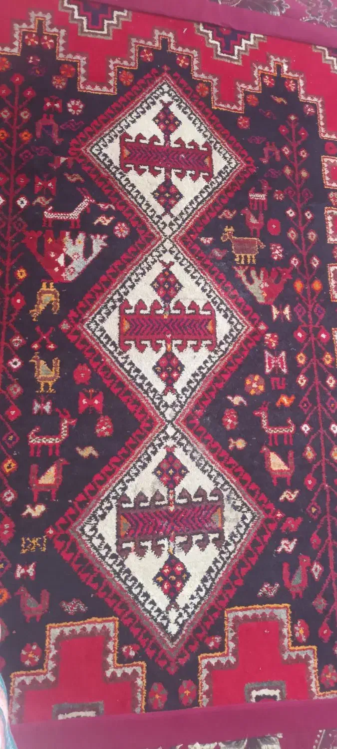 دوتخته قالی محلی دارم برای فروش|فرش|حاجی آباد, |دیوار