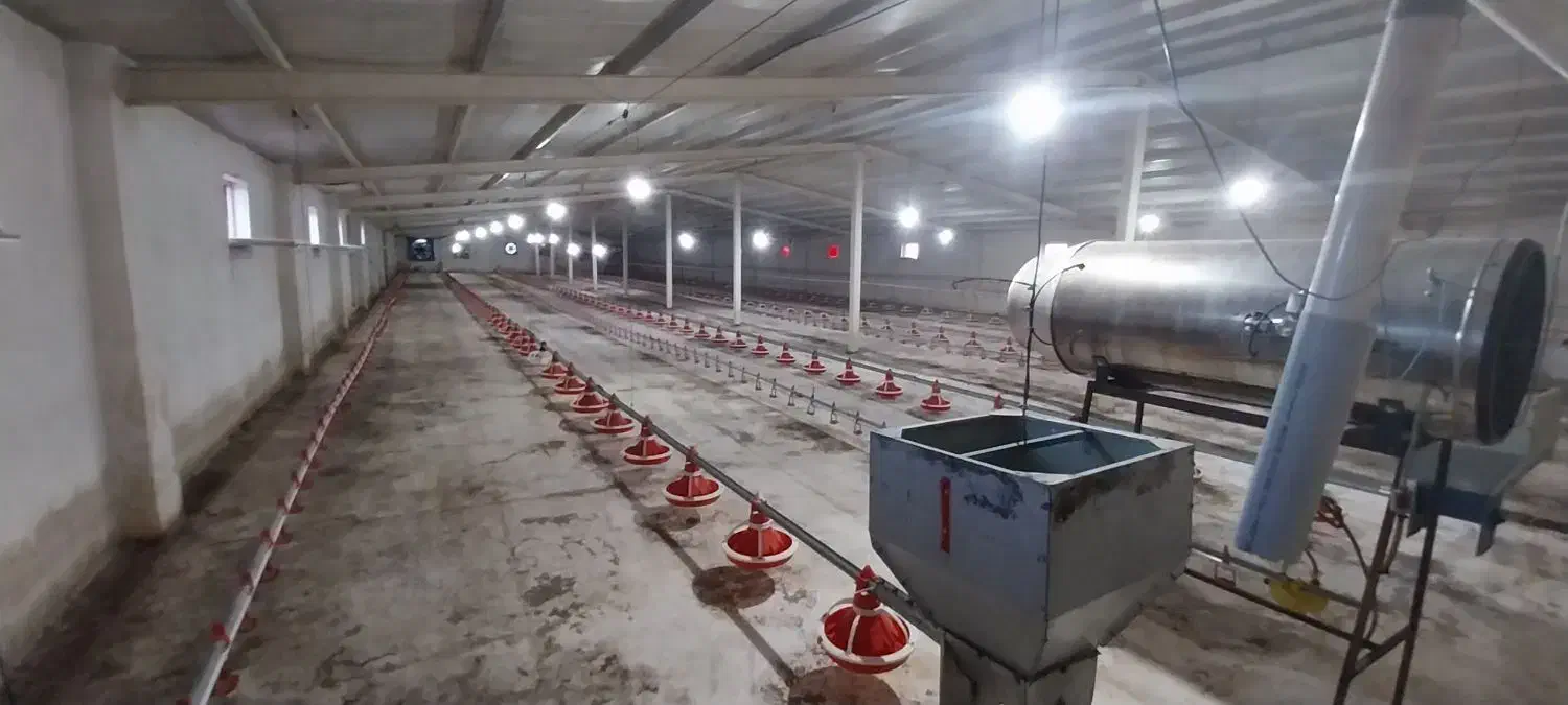 مرغداری گوشتی ۲۵ هزار قطعه اتوماتیک|فروش دفتر صنعتی، کشاورزی، تجاری|ثمرین, |دیوار