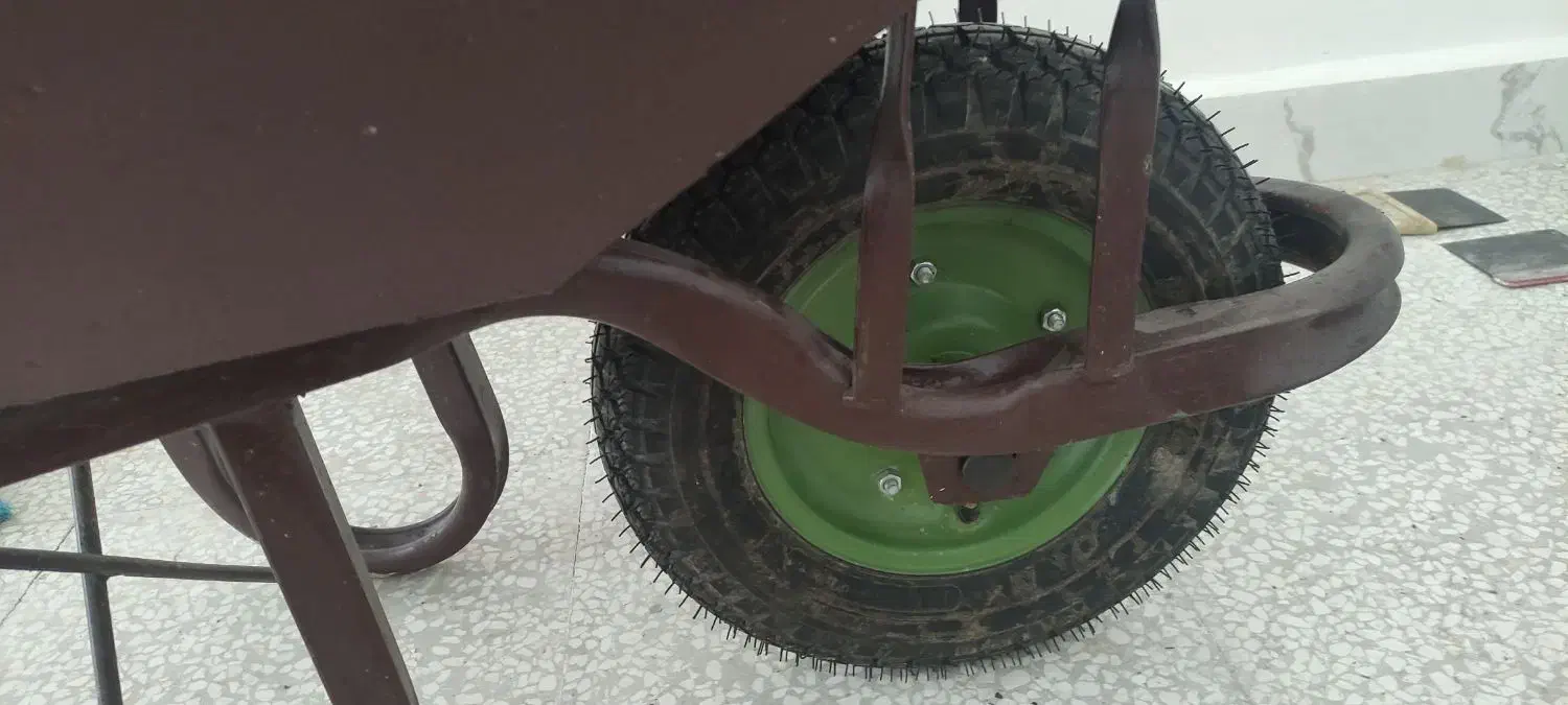 فرغون نو وسالم|ابزارآلات|گنبد کاووس, |دیوار