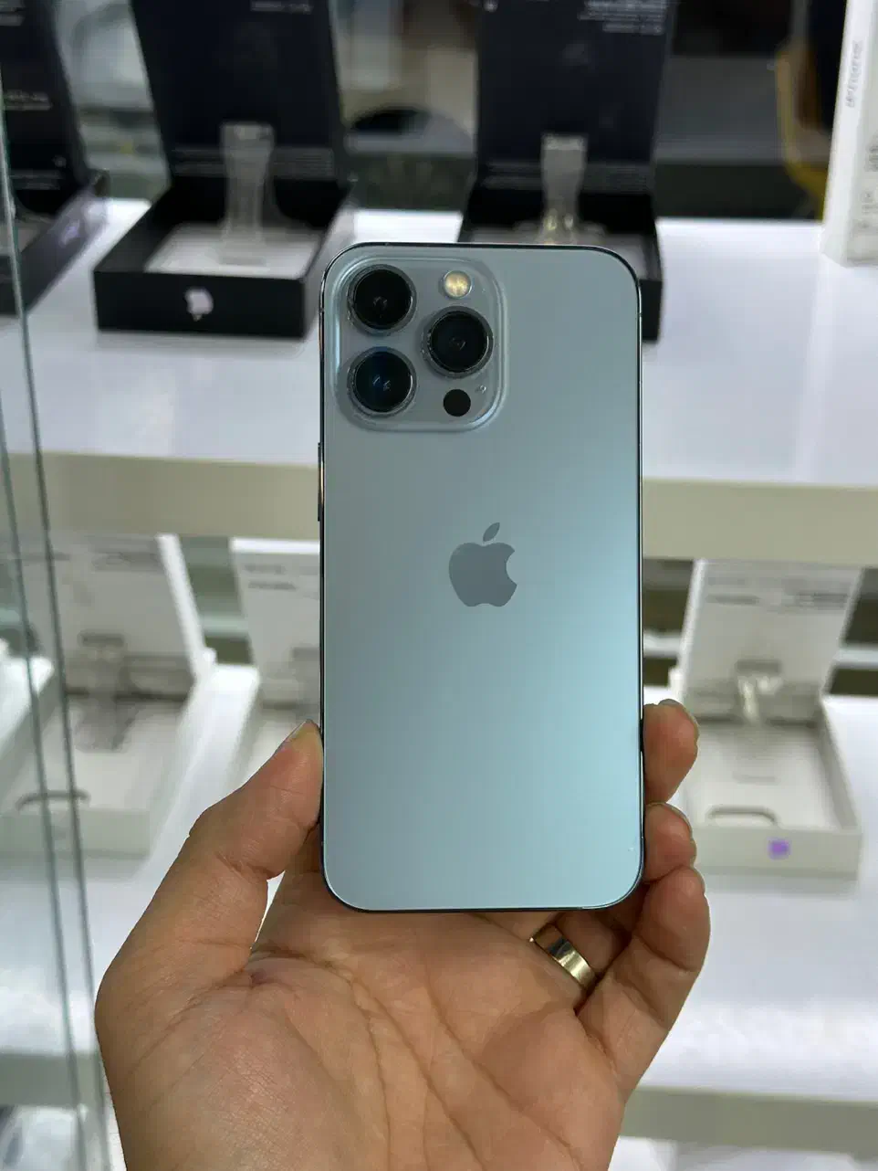 13pro 256 lla|موبایل|پرند, فاز ۲|دیوار