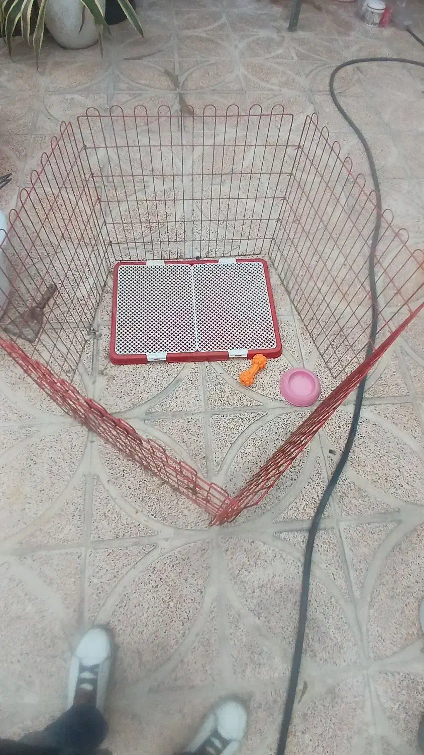 پارک سگ|لوازم جانبی حیوانات|جوادآباد, |دیوار