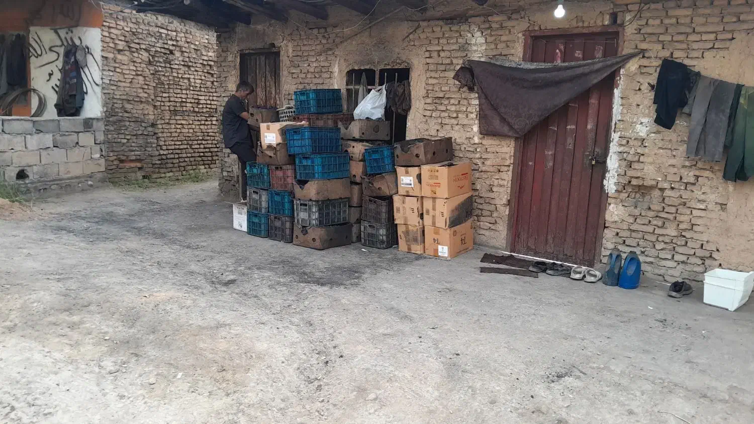 ذغال لیمو تولید کننده|عمدهفروشی|گرگان, |دیوار